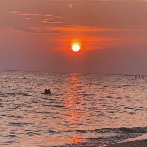 Meet your Posher, Isabella